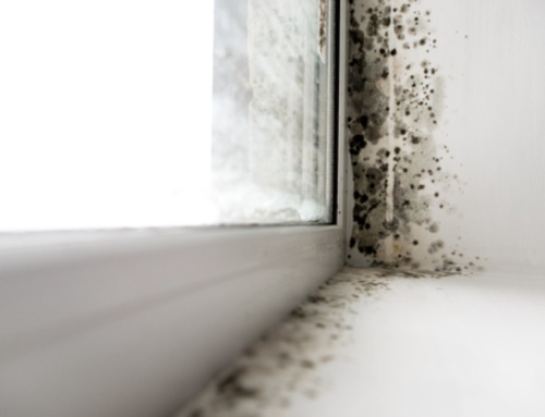 EIP hosts Q&A on disrepair with Housing Ombudsman