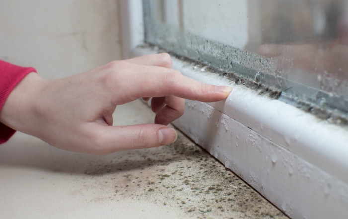 condensation mould