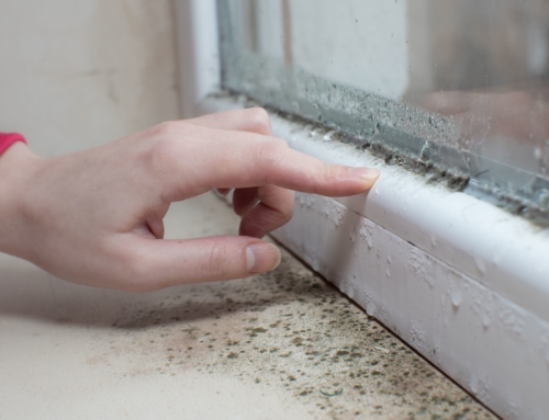 Learn how to manage condensation mould in your home