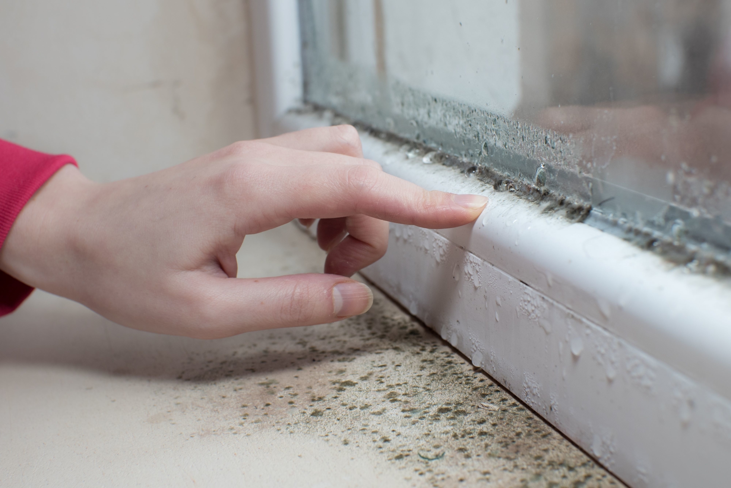 condensation mould