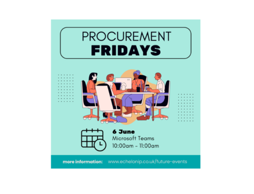 Frameworks and below threshold contracts explored in Procurement Friday’s